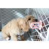 Groov Crate Training Aid, Blush - Pet Crates & Kennels - 2