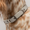 Diggs Buckle Dog Collar, Ash - Collars, Leashes & Harnesses - 3