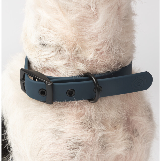 Diggs Buckle Dog Collar, Navy - Collars, Leashes & Harnesses - 4
