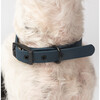 Diggs Buckle Dog Collar, Navy - Collars, Leashes & Harnesses - 4