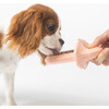 Spreadable PB Dog Treat, Health Nut - Pet Bowls & Feeders - 4