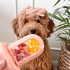 Groov Crate Training Aid, Blush - Pet Crates & Kennels - 5