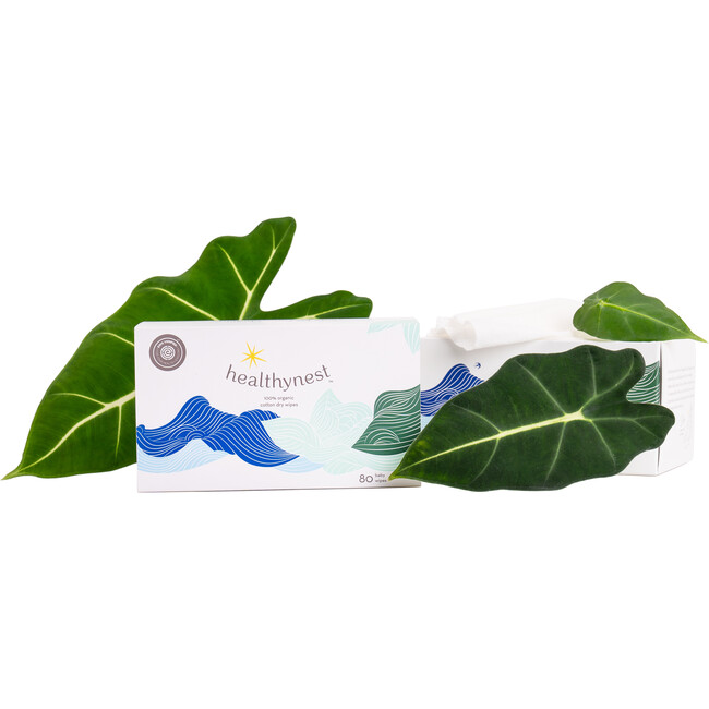 Dry Wipes - Wipes - 1