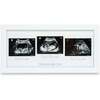 TRIO Sonogram Frame, Alpine White - Wall Décor - 1 - thumbnail