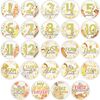 24 Baby Milestone Stickers - Other Accessories - 1 - thumbnail