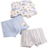 3 Pack Boxers - Dinosaurs And Stripes Yellow And Blue - Underwear - 1 - thumbnail