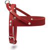 Butter Leather Dog Harness, Chili Red and Silver - Collars, Leashes & Harnesses - 1 - thumbnail