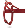 Butter Leather Dog Harness, Chili Red and Silver - Collars, Leashes & Harnesses - 3