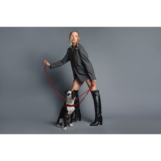 Butter Leather 2x Adjustable Dog Leash, Chili Red and Silver - Collars, Leashes & Harnesses - 2