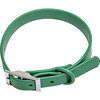 Wild One Collar, Spruce - Collars, Leashes & Harnesses - 1 - thumbnail