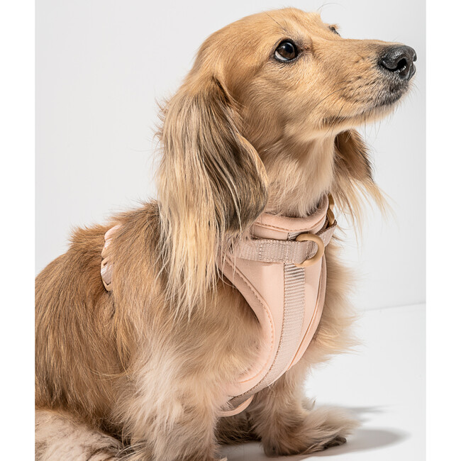 Wild One Harness, Tan - Collars, Leashes & Harnesses - 2