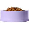 Pet Bowl, Lilac - Pet Bowls & Feeders - 3