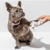Eucalyptus Grooming Wipes - Pet Grooming - 2