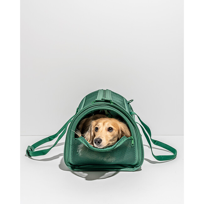 Air Travel Carrier, Spruce - Pet Carriers & Totes - 2