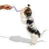 Bolt Bite Toy, Lilac - Pet Toys - 3