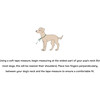 Wild One Collar, Spruce - Collars, Leashes & Harnesses - 3