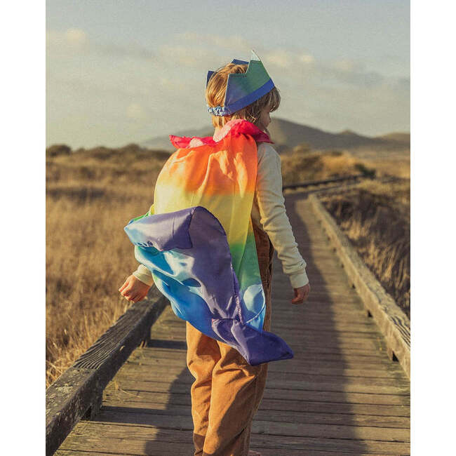 Cape, Rainbow - Costume Accessories - 2