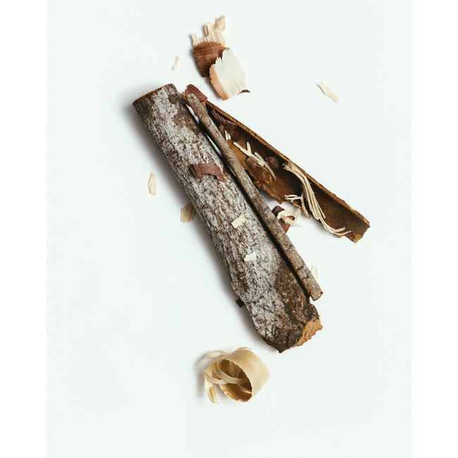 Santalum Natural Deodorant - Deodorant - 2