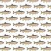 Beckett Boys' Pima Cotton Pant, Rainbow Trout - Pants - 2