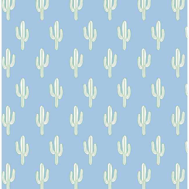 Beckett Boys' Pima Cotton Pant, Cactus Cool