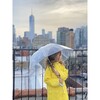 Clear Umbrella, Silver Logo - Umbrellas - 2