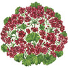 Die Cut Geranium Placemat - Paper Goods - 1 - thumbnail