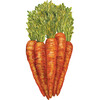 Carrots Table Accent - Paper Goods - 1 - thumbnail