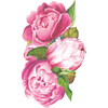 Peony Table Accent - Paper Goods - 1 - thumbnail