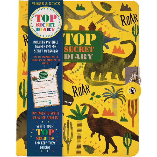 Dinosaur Top Secret Lockable Diary - Books - 1