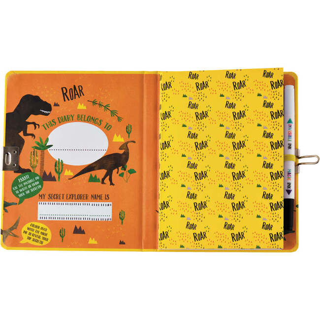Dinosaur Top Secret Lockable Diary - Books - 2