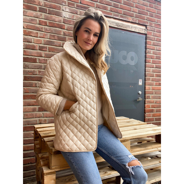 Women's Draco Light Down Jacket - Coats - 6