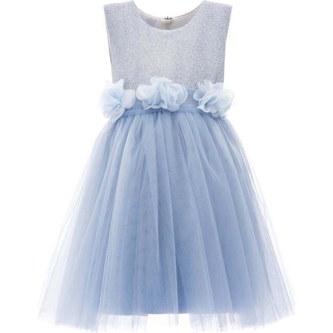 Montagne Rose Dress, Blue