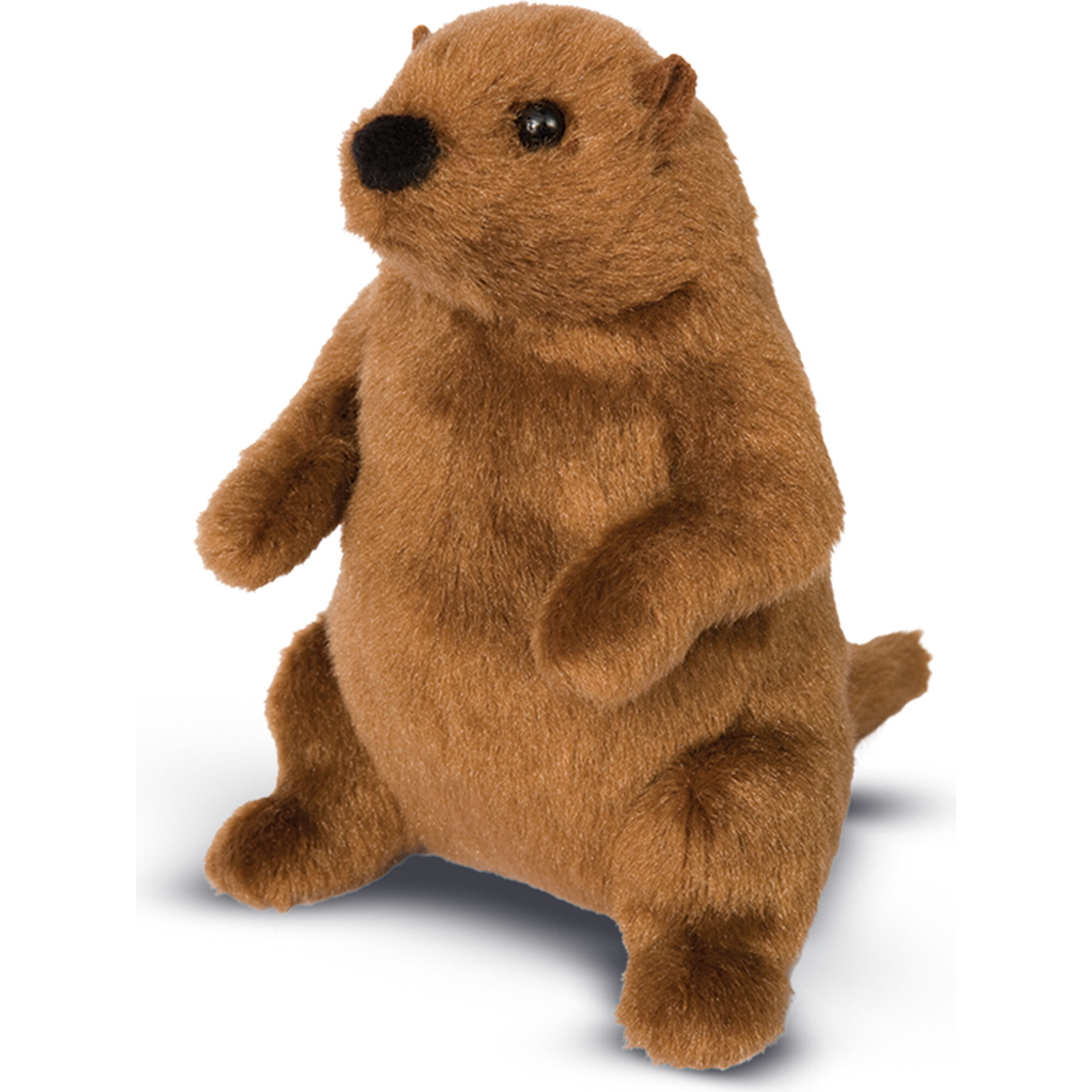 Mr. G Groundhog - Plush - 1