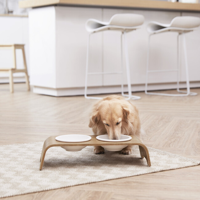 Billie Elevated Ceramic Double Pet Feeder with Ash Wood Stand