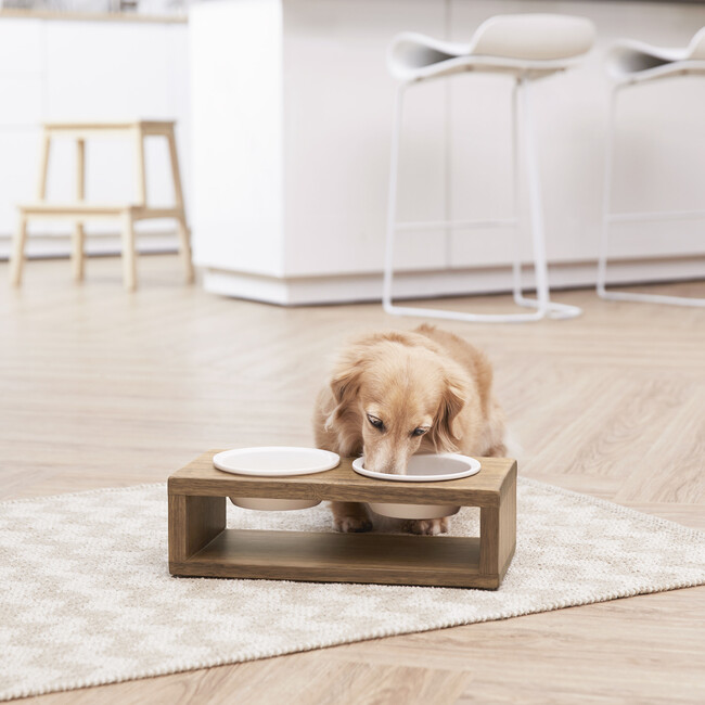 Billie Elevated Ceramic Double Pet Feeder with Acacia Stand