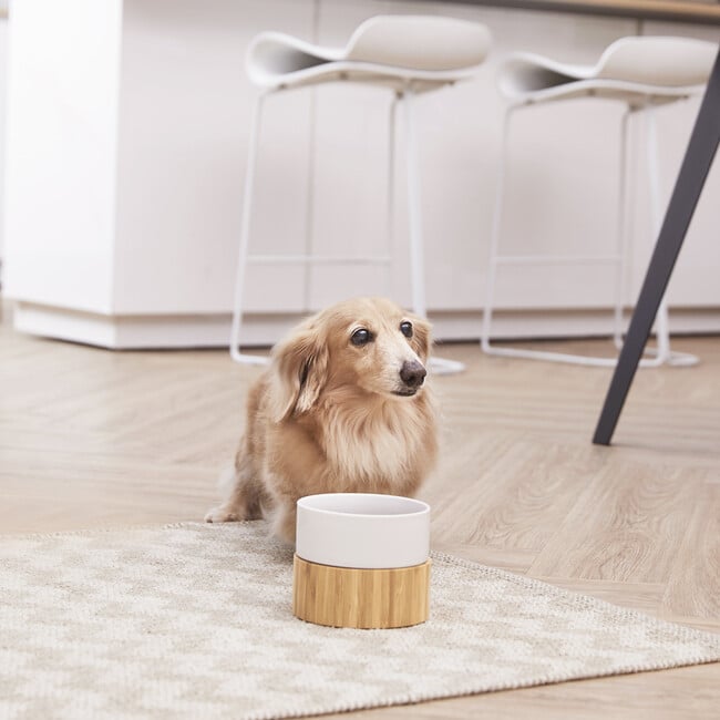 Billie Elevated Ceramic Pet Bowl with Bamboo Stand - Pet Bowls & Feeders - 3