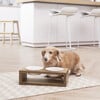 Billie Elevated Ceramic Double Pet Feeder with Acacia Stand - Pet Bowls & Feeders - 3