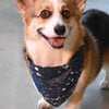 Bandana, Denim Splatter - Dog Bandanas & Neckties - 2