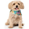 Bandana, Meadow - Dog Bandanas & Neckties - 3