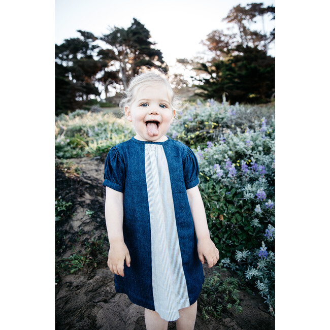 Organic Denim Stripe Dress, Blue - Dresses - 3