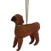 Hand Knit Alpaca Wool Rhodesian Ridgeback Dog Ornament - Ornaments - 1 - thumbnail