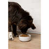 Cling Silicone Bottom Bowl, White - Pet Bowls & Feeders - 2