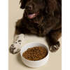Cling Silicone Bottom Bowl, White - Pet Bowls & Feeders - 3