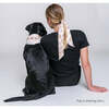Tyra Set, Beige - Dog Bandanas & Neckties - 2