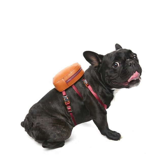 Dog Backpack, Cognac - Dog Clothes - 3