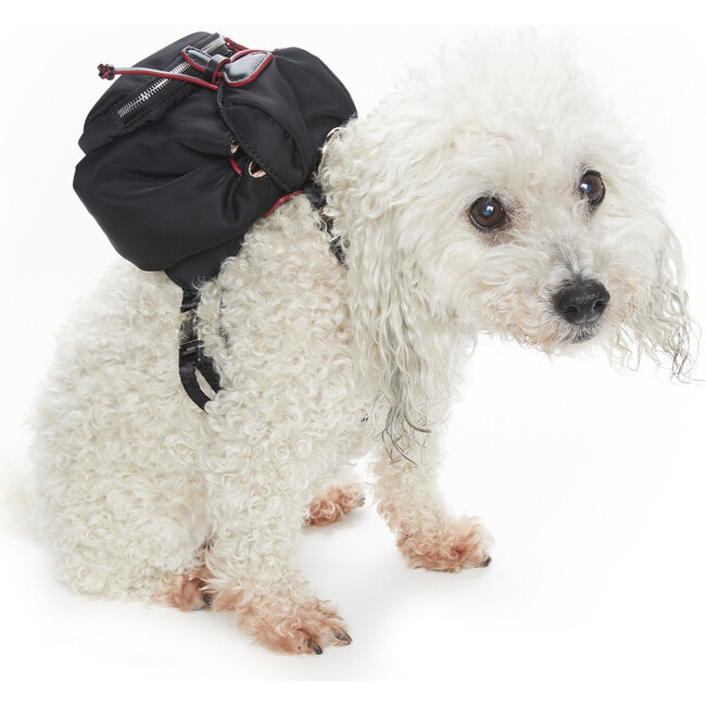Dog Backpack, Black