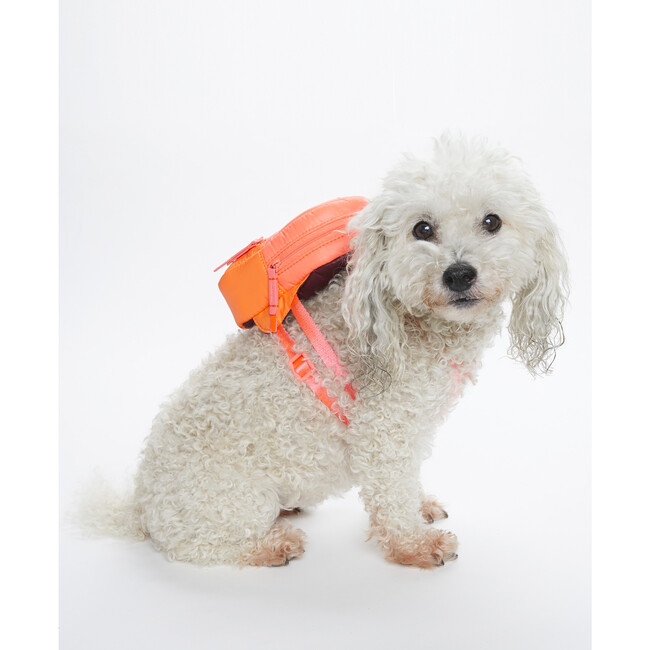 Dog Backpack, Fuchsia