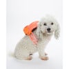 Dog Backpack, Fuchsia - Dog Clothes - 2