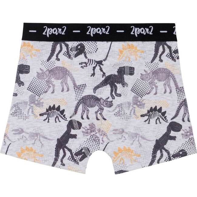 Printed Boxer Grey Mix, Grey Mix Dinosaur Fossil - Underwear - 1