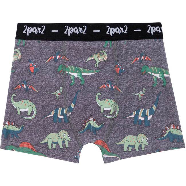 Printed Boxer Dark Grey Mix, Dark Grey Mix Dino Print - Underwear - 1 - zoom